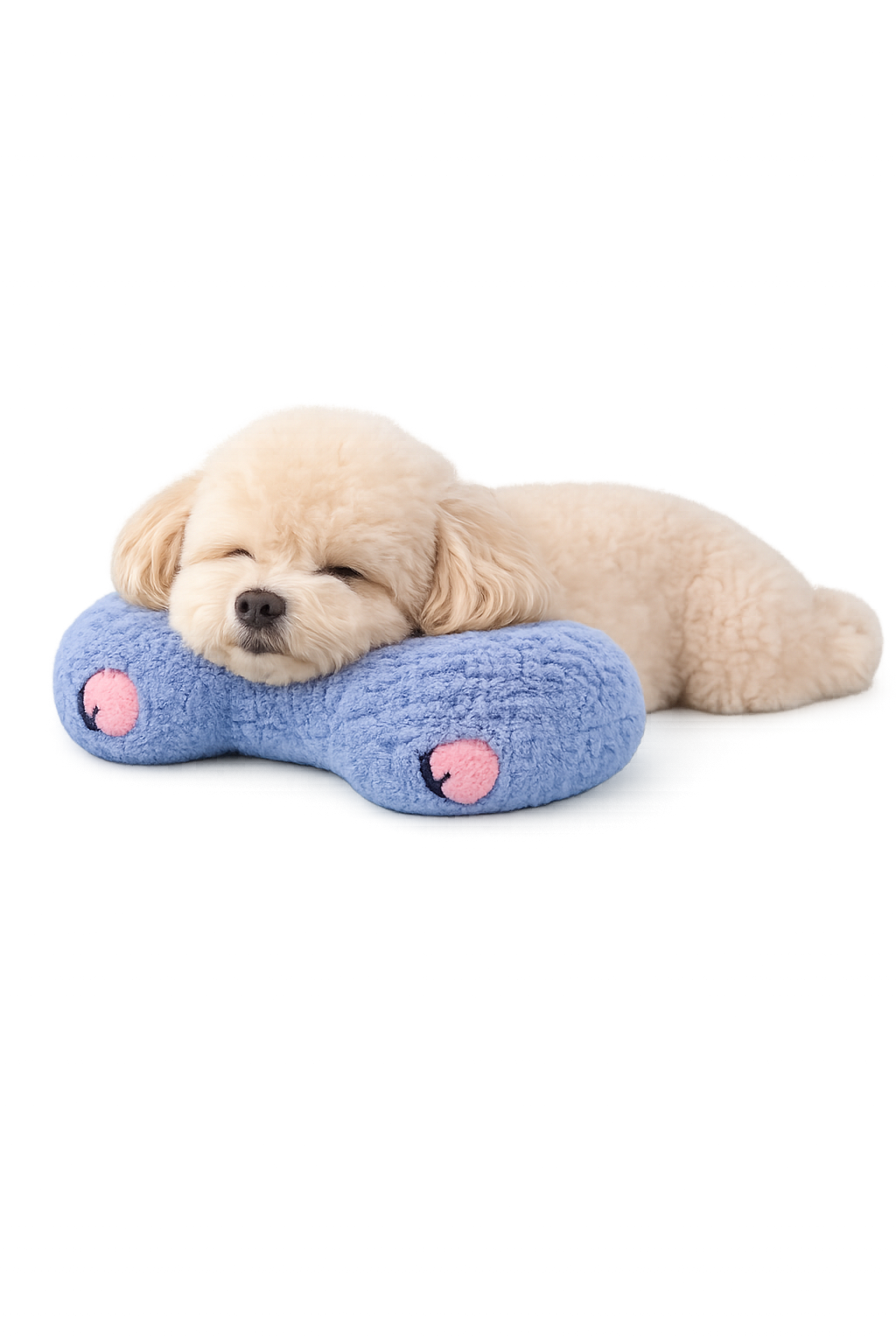 DreamPaws