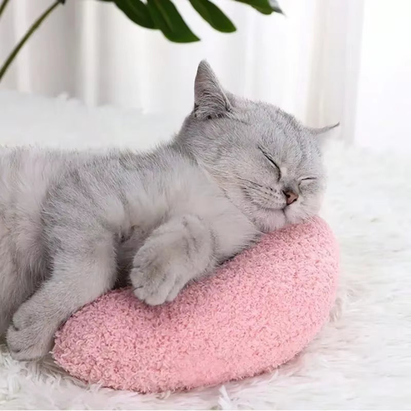 DreamPaws