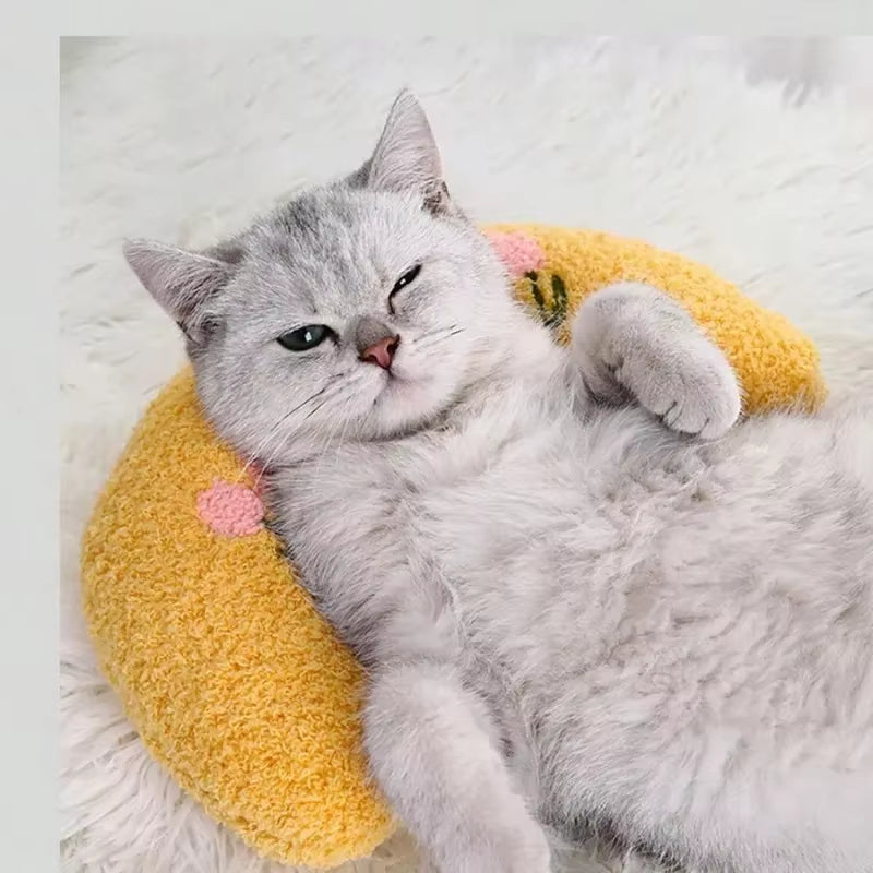 DreamPaws